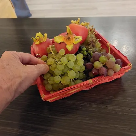 Tranquille Dans La Cité Du Mimosa - Axelle Loc'appart