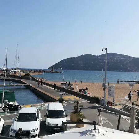 Tranquille Dans La Cité Du Mimosa - Axelle Loc'appart Сasa de vacaciones